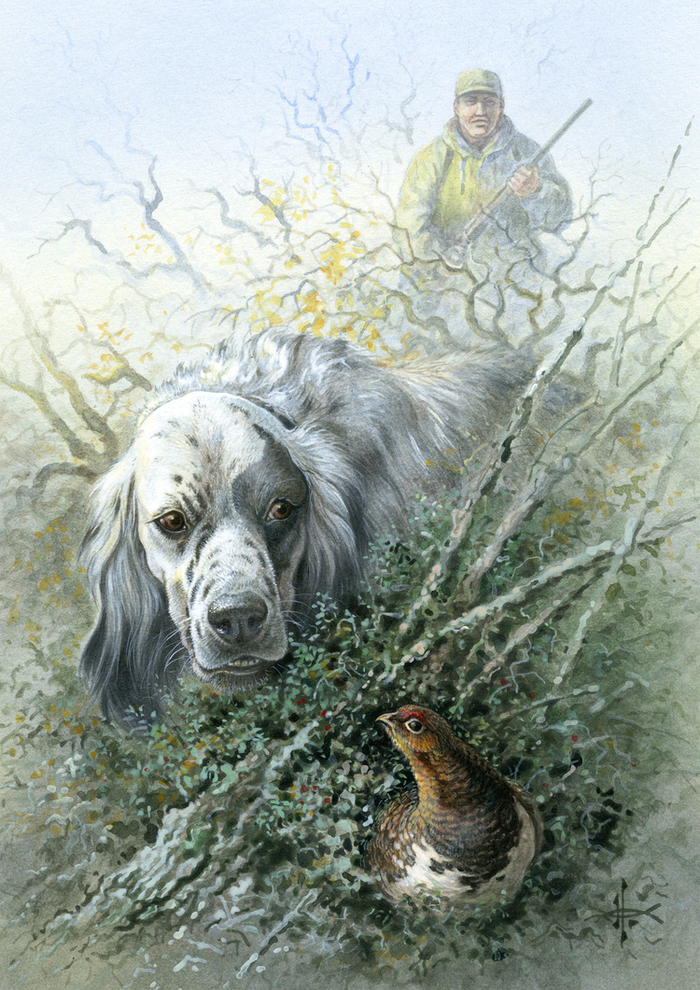 Здравствуй, куропатка !