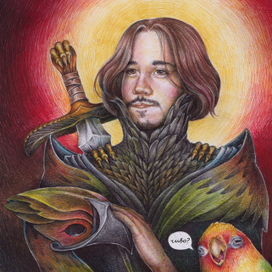 Рыцарь-попугай