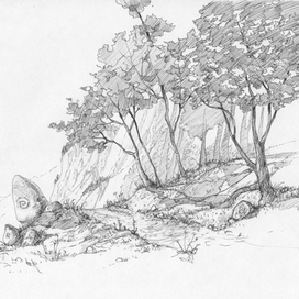 Лес на склоне горы