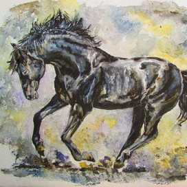 Чёрная молния