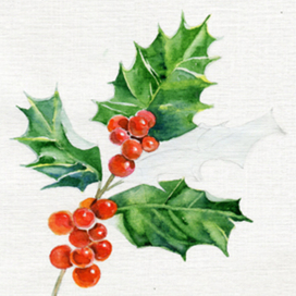 остролист и грейпфрут