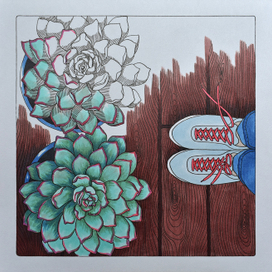 Каменная роза