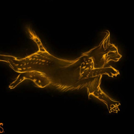 Серия патронусов: Рысь