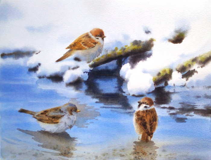 Весна. Водные процедуры.