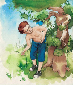 Про Ивушкина)