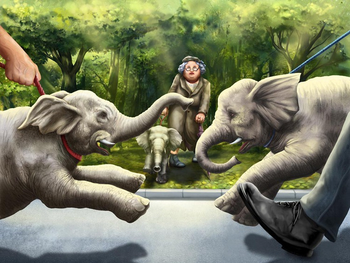 городская фауна 5