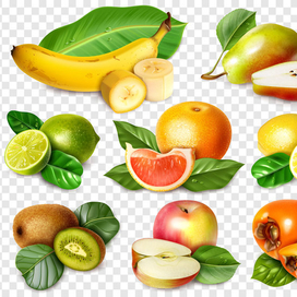 fruit realistic set