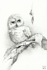 Совушка на ветке