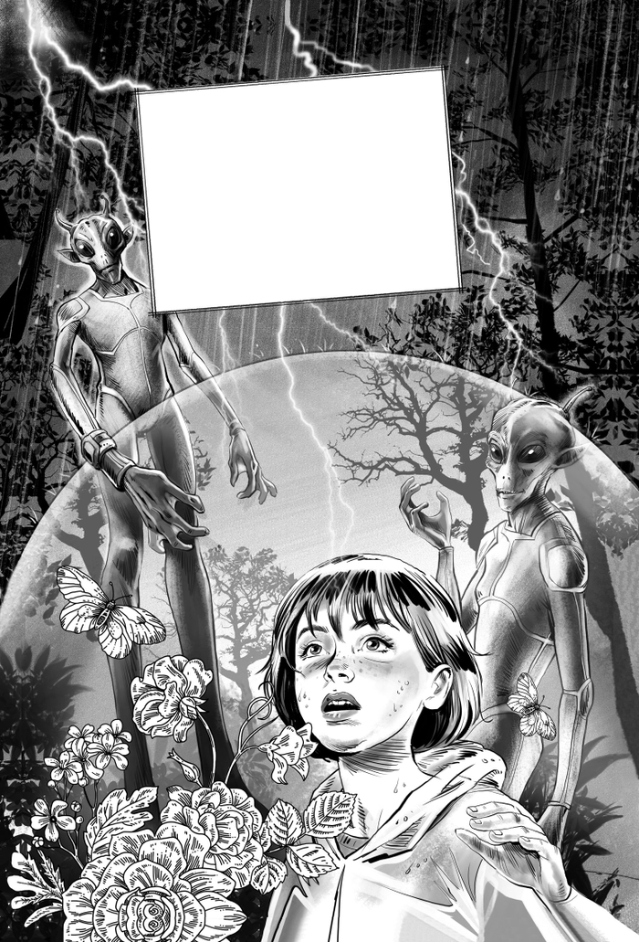 Шмуц к книге