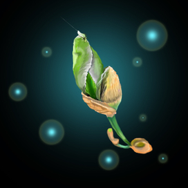 Паучок на цветке