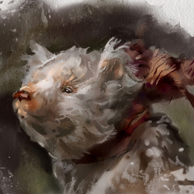 открытка мишка