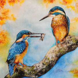 Ледяная птица!