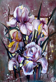 Ирисы