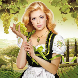 Этикетка для вина