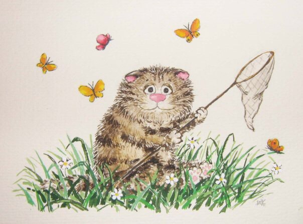 Охота на бабочек