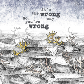 Нонконформизм в среде северных оленей