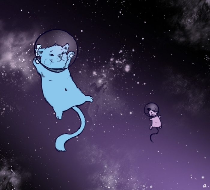 Space Cat