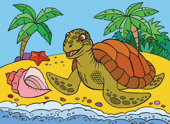 Черепашка на берегу