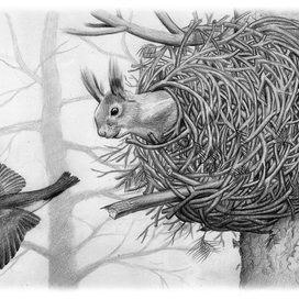 Иллюстрация к рассказу Виталия Бианки "Лесные домишки"