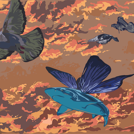 Акула-бабочка