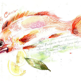 Морской окунь