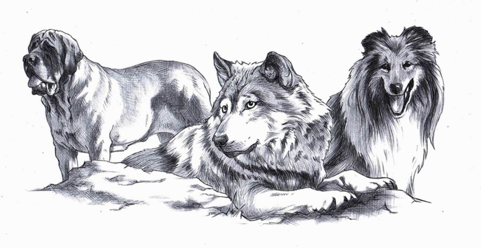 Молниеносный. 8-0