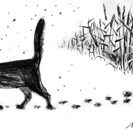 "Іде кіт через лід"