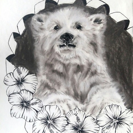 белый мишка