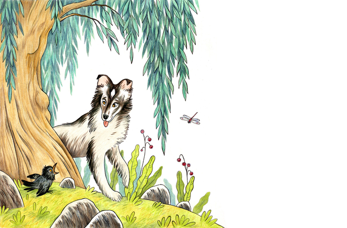 Неожиданная встреча