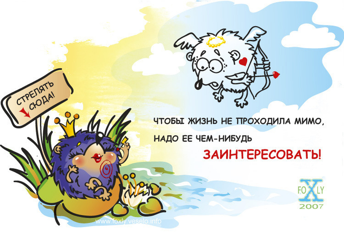 Кодекс счастливого ёжика Правило №5