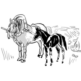 Сергеев «Мои друзья»