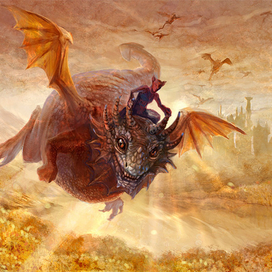 Тяжелая авиация