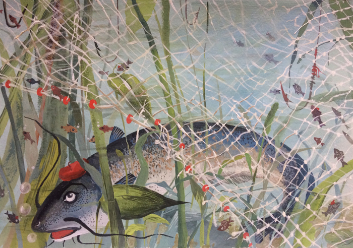 "Рыбы нежные"