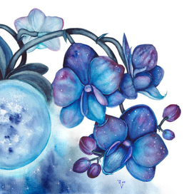 Лунная орхидея