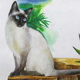 Без названия