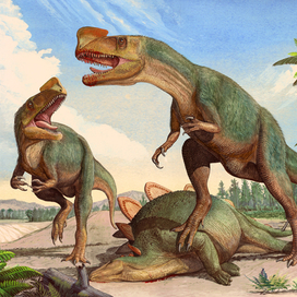 Kileskus aristotocus