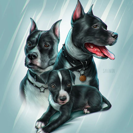 Портрет собаки, коллаж.