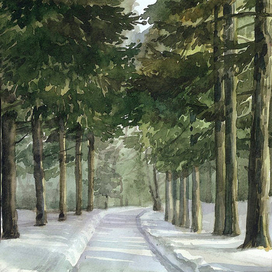 Еловая аллея