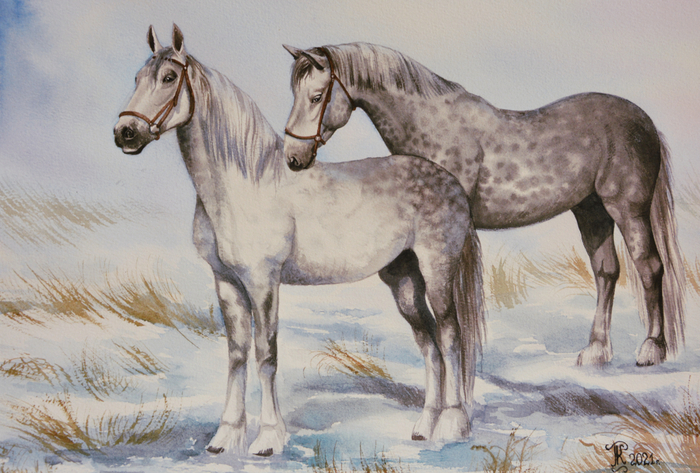 Орловские рысаки 