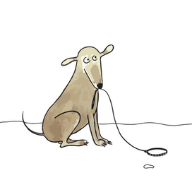 Открытка для приюта бездомных животных