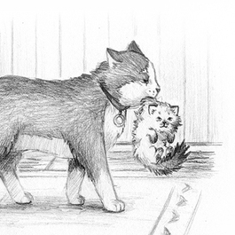 Котики и другие обитатели фермы (2)