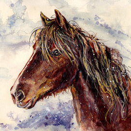 Лошадь и снежинки