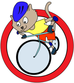 кот на велосипеде