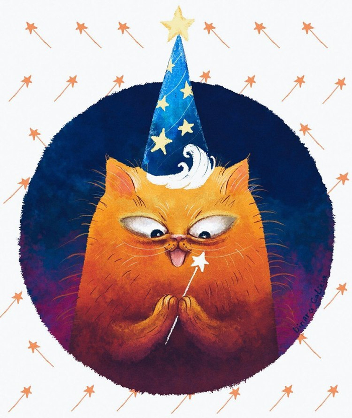 Wizard Cat
