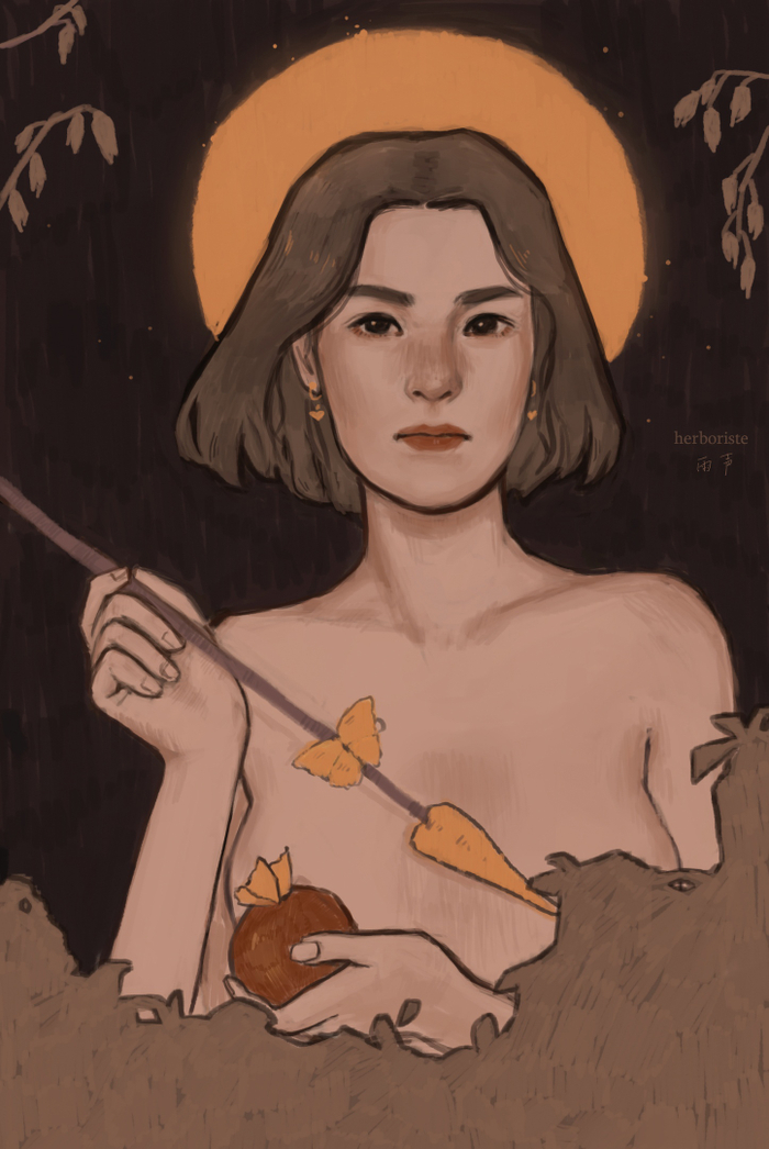 Венера Вертикордия