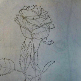 Одинокая Розочка