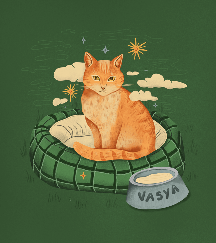Рыжий кот