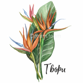 Авторская акварельная открытка