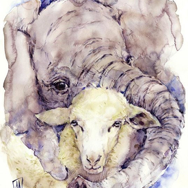 Слоненок и баран