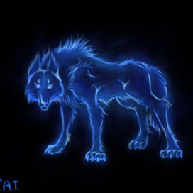 Серия патронусов: Волк